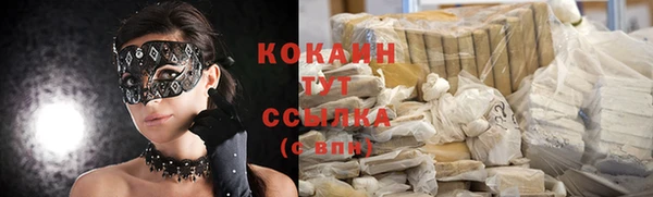 прущие крисы Абаза