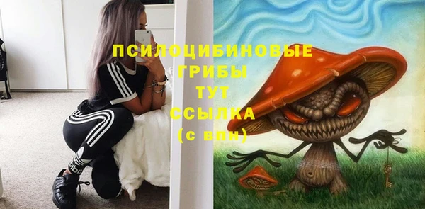 apvp Михайловка