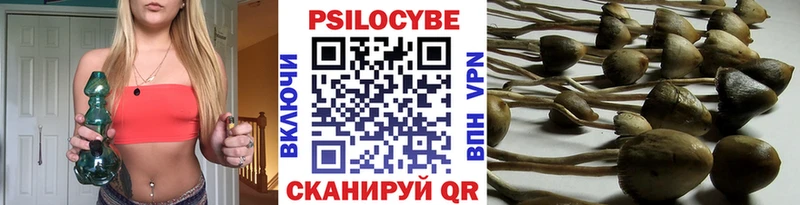 Галлюциногенные грибы Magic Shrooms  Терек 